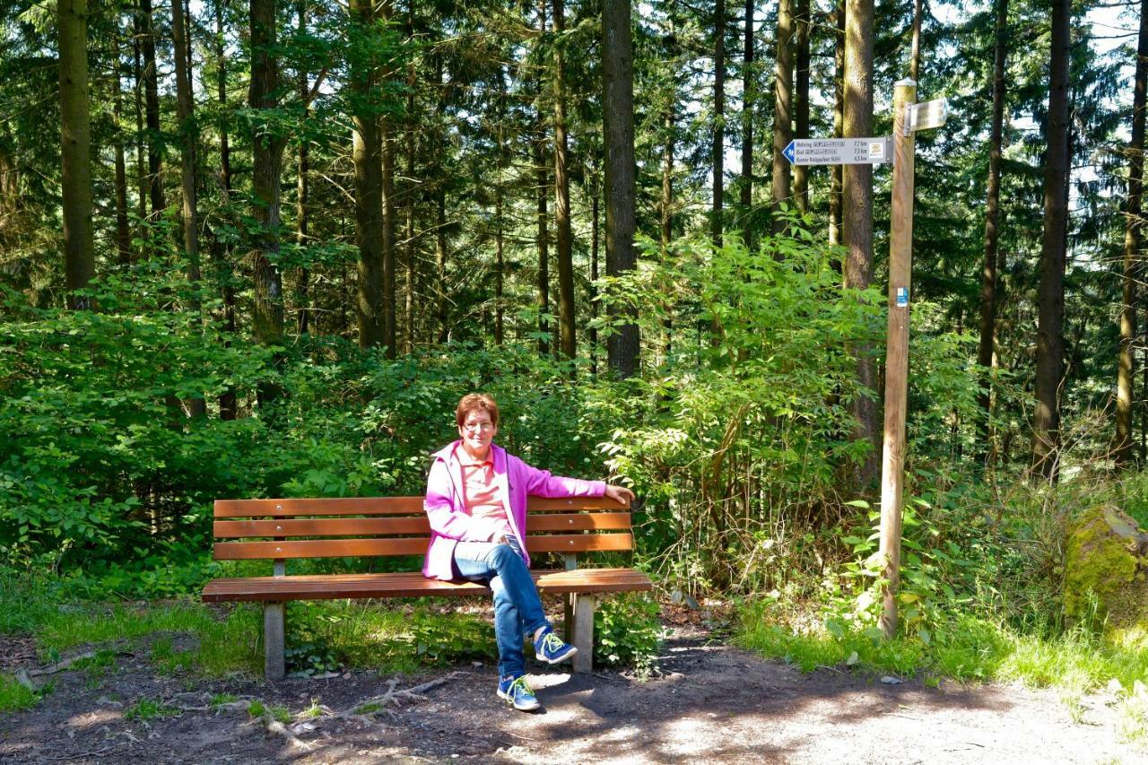 Gaestehaus Hoffmann Farschweiler エクステリア 写真