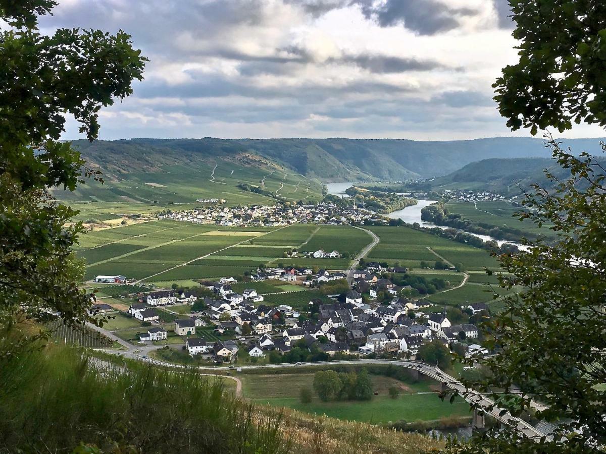 Gaestehaus Hoffmann Farschweiler エクステリア 写真